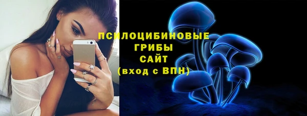 МДПВ Алзамай