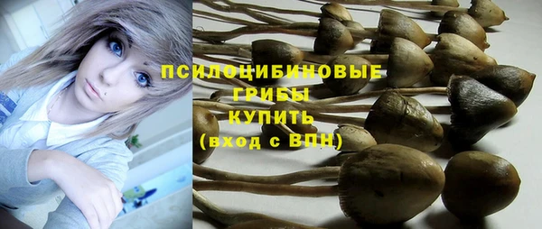 МДПВ Алзамай